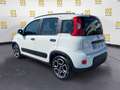 Fiat Panda 1.0 FireFly S&S Hybrid City Life Blanc - thumbnail 3