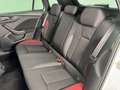 Skoda Kamiq Kamiq 1.0 TSI 110 CV DSG Monte Carlo Blanc - thumbnail 13