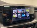 Skoda Kamiq Kamiq 1.0 TSI 110 CV DSG Monte Carlo Blanc - thumbnail 19