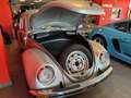 Volkswagen Maggiolino 1.2 L (messico) ASI ORO - thumbnail 10