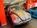 Volkswagen Maggiolino 1.2 L (messico) ASI ORO - thumbnail 2