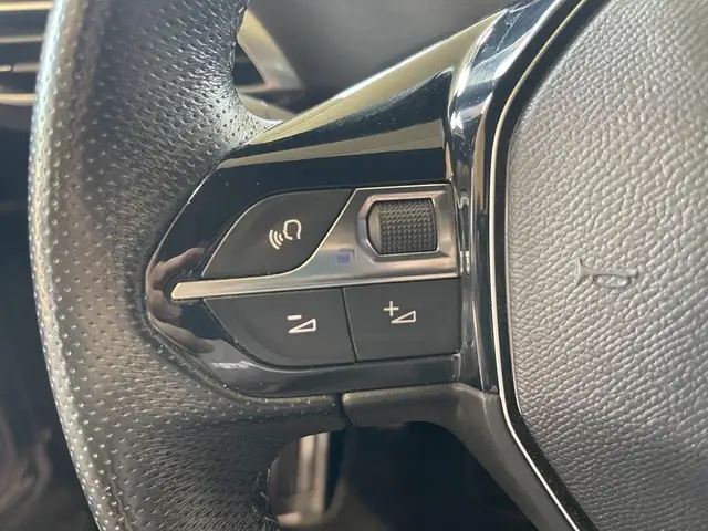 Peugeot 3008 view 13