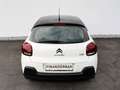 Citroen C3 PureTech 83 S&S 5-Gang-Manuell Shine Weiß - thumbnail 9