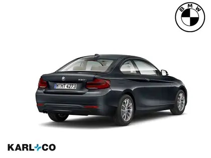 Annonce voiture d'occasion BMW 220 - CARADIZE