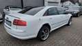 Audi A8 4.0 TDI quattro Weiß - thumbnail 8