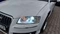 Audi A8 4.0 TDI quattro Weiß - thumbnail 18