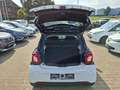 smart forFour Passion*Klima*PDC*SHZ*USB*Tempo Blanc - thumbnail 15