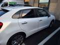 Suzuki Baleno 1.2 vvt dualjet B-Cool Gpl - thumbnail 5