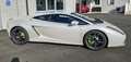Lamborghini Gallardo Coupe Coupe 5.0 E-gear Bianco - thumbnail 2
