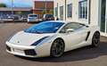 Lamborghini Gallardo Coupe Coupe 5.0 E-gear Bianco - thumbnail 1