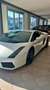 Lamborghini Gallardo Coupe Coupe 5.0 E-gear Grigio - thumbnail 5