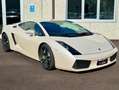 Lamborghini Gallardo Coupe Coupe 5.0 E-gear Grigio - thumbnail 1