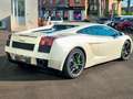 Lamborghini Gallardo Coupe Coupe 5.0 E-gear Grigio - thumbnail 3