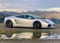 Lamborghini Gallardo Coupe Coupe 5.0 E-gear Bianco - thumbnail 9