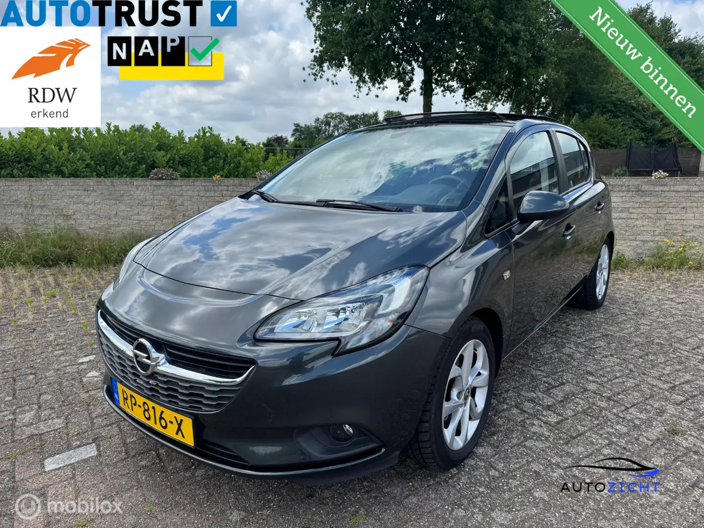 Opel Corsa 1.4 Online Edition | 1e Eig | Pano | Trekh | Crui Grau - 1