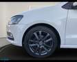 Volkswagen Polo 5 Porte 1.4 TDI Comfortline Bianco - thumbnail 15