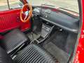 Fiat 500 F - targata FR Rosso - thumbnail 13