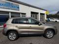 Volkswagen Tiguan Life BMT *Parklenkassistent *Sitzheizung Beige - thumbnail 3