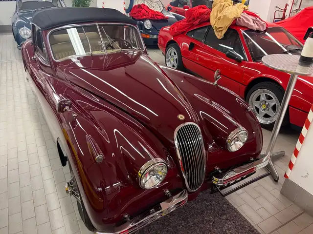 Jaguar XK 120 DHC Cabrio EXELLENTER ZUSTAND