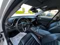 Alfa Romeo Giulia 2.2 Turbodiesel 180 CV AT8 Super PROMO FINANZI. Bianco - thumbnail 14