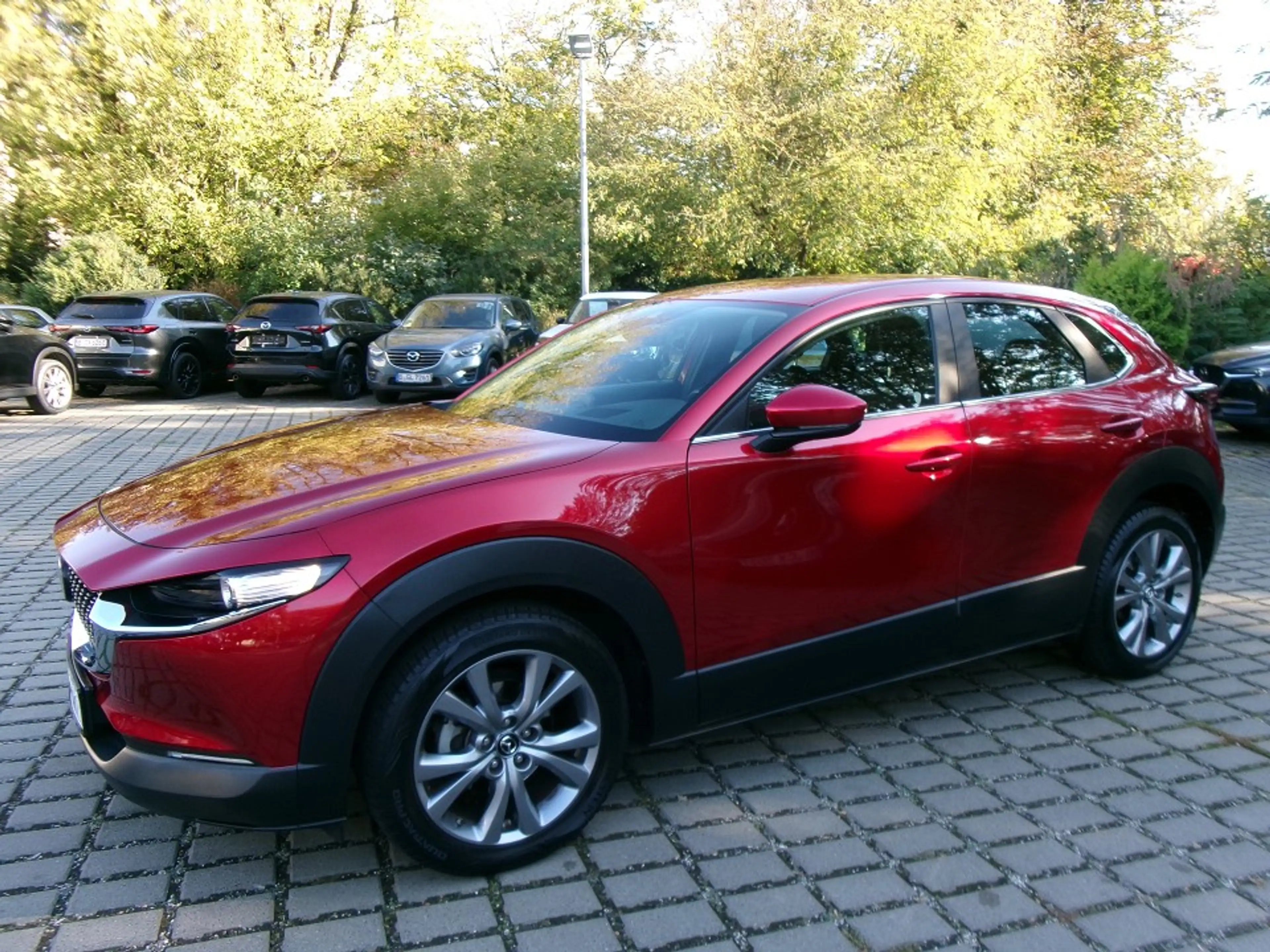 Mazda CX-30 SKYACTIV-G 2.0 M Hybrid Selection 2WD