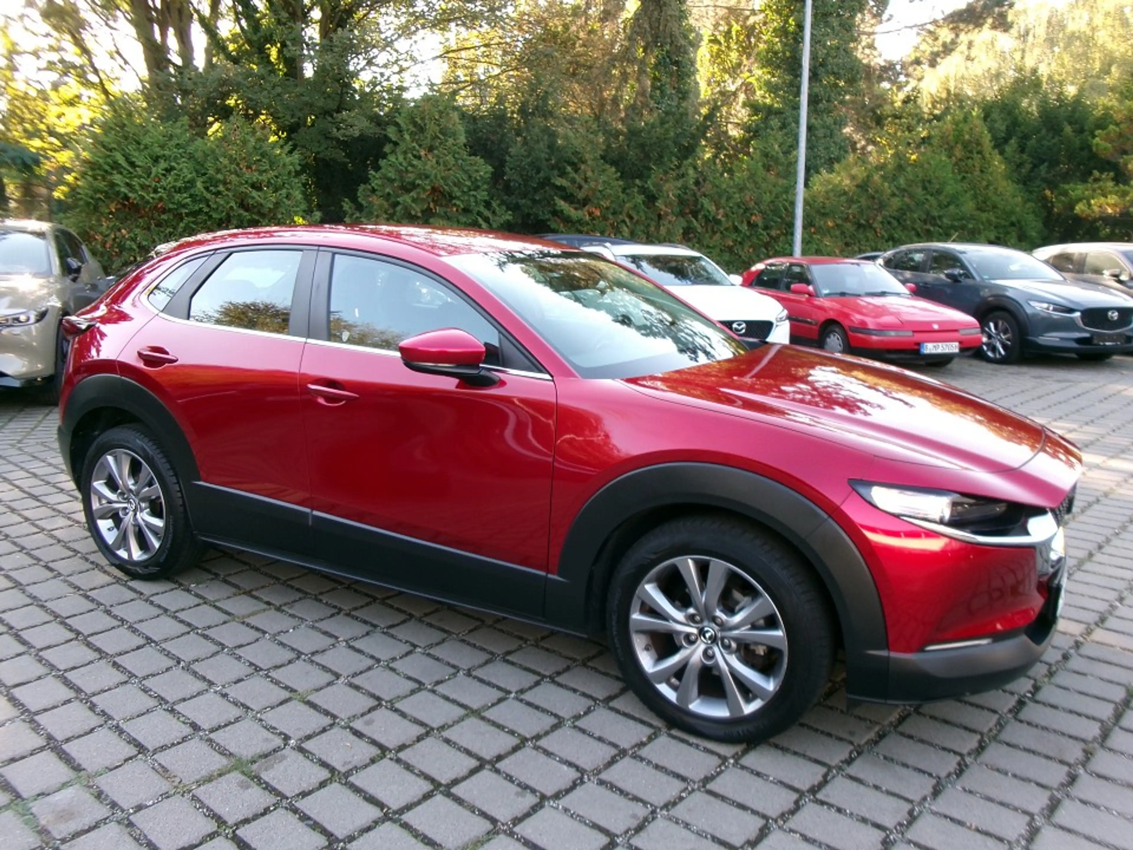 Mazda CX-30 SKYACTIV-G 2.0 M Hybrid Selection 2WD — photo 2