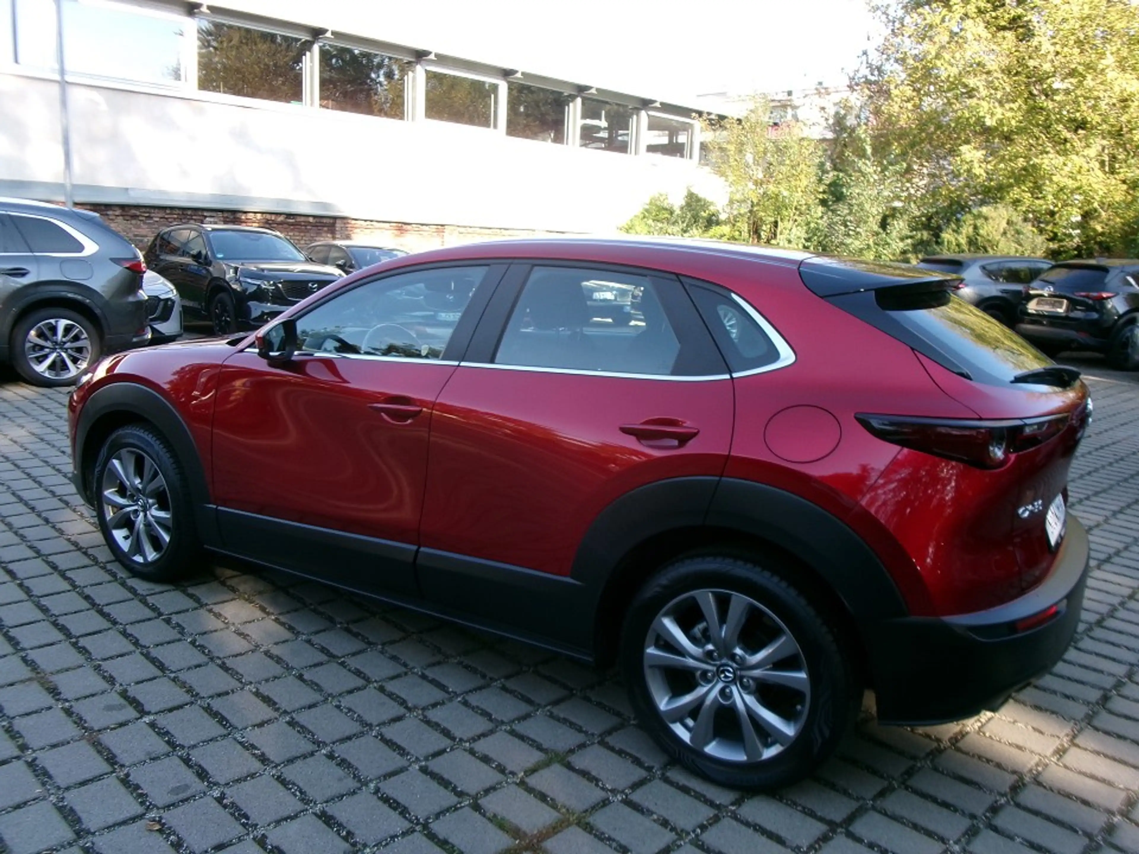 Mazda CX-30 SKYACTIV-G 2.0 M Hybrid Selection 2WD — photo 4