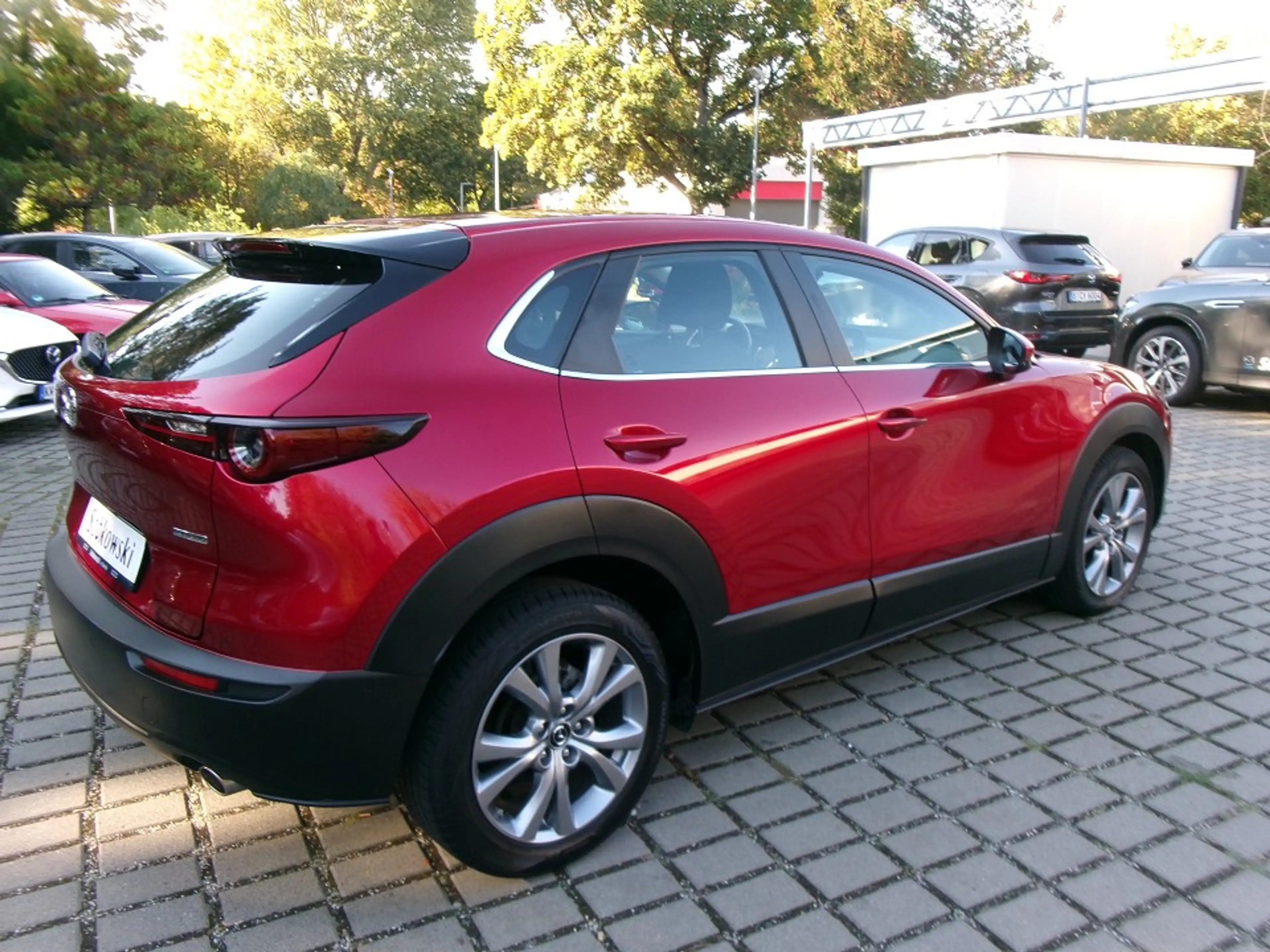 Mazda CX-30 SKYACTIV-G 2.0 M Hybrid Selection 2WD — photo 3