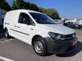 Volkswagen Caddy MAXI 2.0 TDI 102CH BUSINESS LINE DSG6 Blanc - thumbnail 3