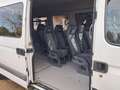 Renault Master Master 9 posti 4 carrozzine trasporto disabili ped Blanc - thumbnail 5