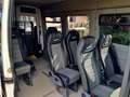 Renault Master Master 9 posti 4 carrozzine trasporto disabili ped Blanc - thumbnail 6