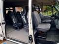 Renault Master Master 9 posti 4 carrozzine trasporto disabili ped Blanc - thumbnail 7