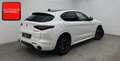 Alfa Romeo Stelvio Veloce Q4 GLASDACH+POTENZA+MEMO+AHK+ Білий - thumbnail 4