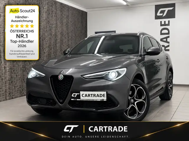 2019 Alfa Romeo Stelvio in Grey for sale