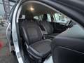 Ford Focus 1.5 EcoBlue 120 CV automatico SW Business Co-Pilot Grigio - thumbnail 6