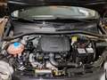 Fiat 500 1.0 Hybrid 70cv Dolcevita R16+ Navi Nero - thumbnail 25