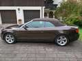 Audi A5 A5 Cabrio Diesel Cabrio 3.0 TDI DPF quattro Braun - thumbnail 3