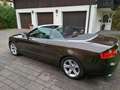 Audi A5 A5 Cabrio Diesel Cabrio 3.0 TDI DPF quattro Braun - thumbnail 14