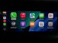 Alfa Romeo Stelvio 2.2 TD 190 CV BUSINESS Q4 DISTRIBUZIONE ESEGUITA Grigio - thumbnail 12