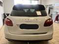 Porsche Cayenne Todoterreno Automático de 5 Puertas Weiß - thumbnail 9