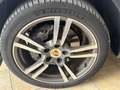 Porsche Cayenne Todoterreno Automático de 5 Puertas Weiß - thumbnail 8