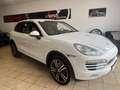Porsche Cayenne Todoterreno Automático de 5 Puertas Weiß - thumbnail 1