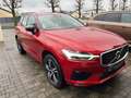 Volvo XC60 D4 AWD AdBlue 190 ch Geartronic 8 R-Design Rood - thumbnail 2
