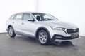 Skoda Octavia Combi Scout 4x4 2.0 TDI DSG AHK*RFK*PDC Argent - thumbnail 2