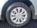 Ford Tourneo Courier Tourneo Courier 1.0 EcoBoost TREND *WinterPk*FahrA Silber - thumbnail 16
