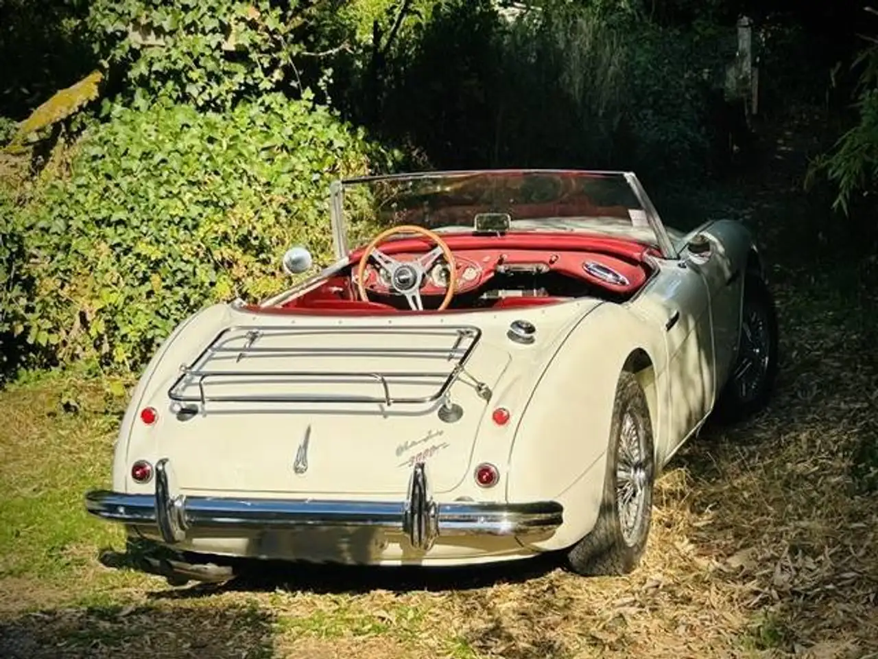 Austin-Healey 3000 Roadster MK2, foto 2