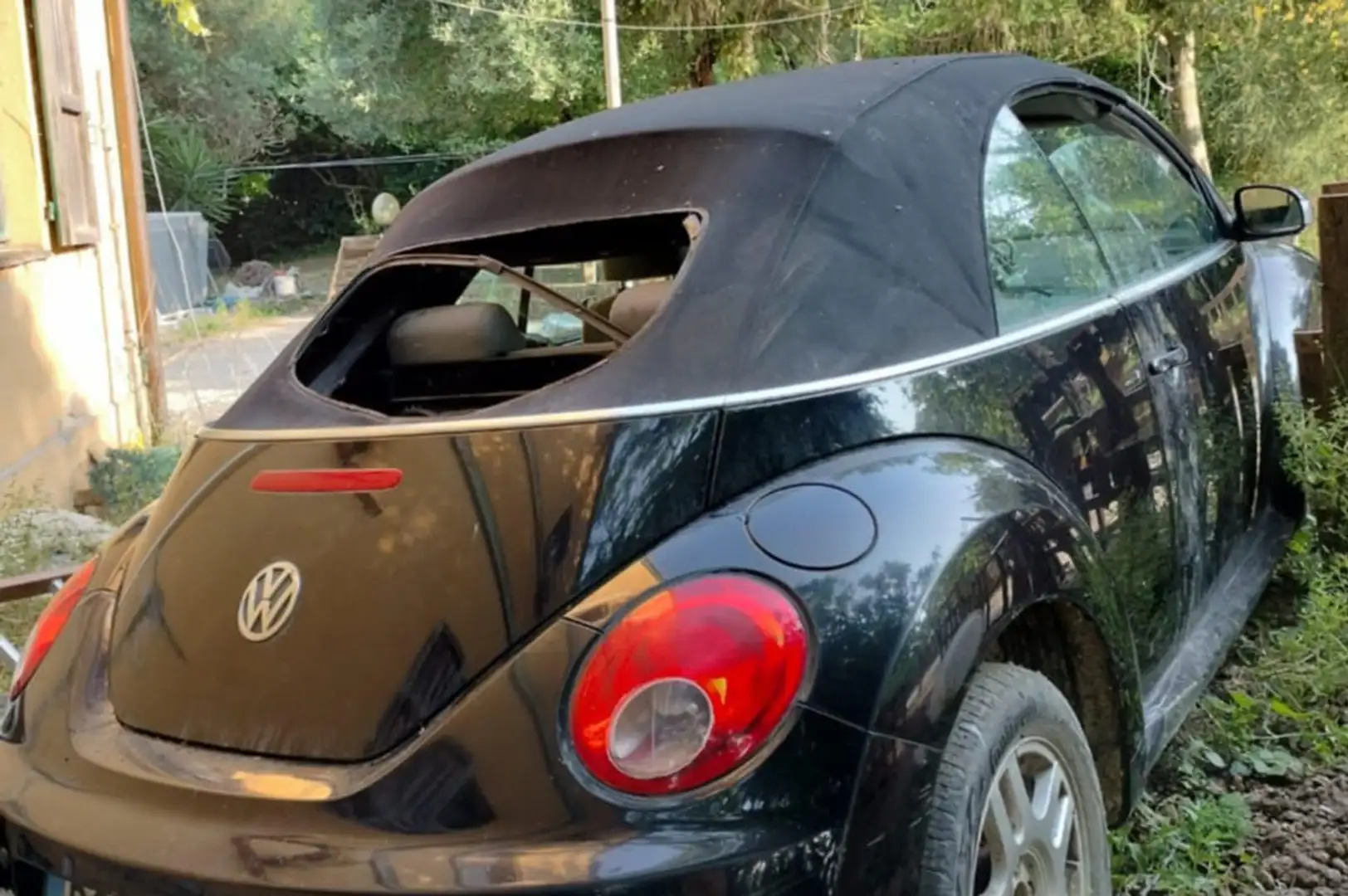 Volkswagen New Beetle 1.9 tdi - 2