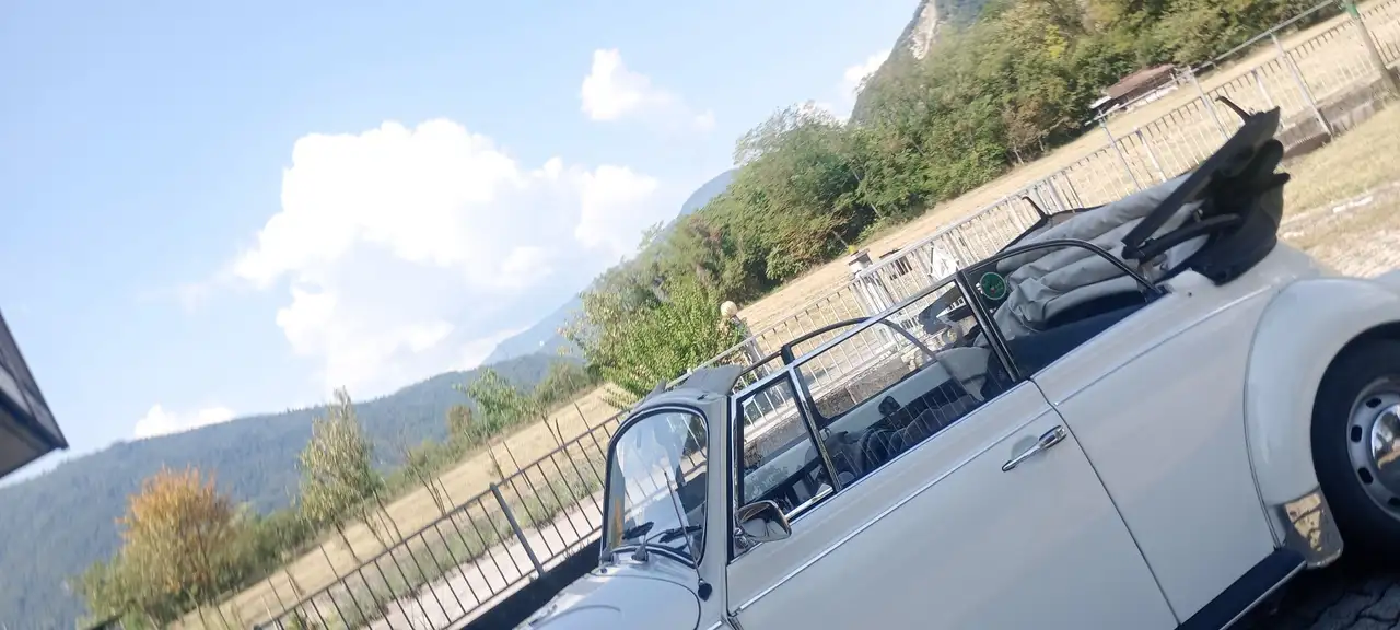 Volkswagen Maggiolino 1.2 L (messico), foto 6
