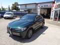 Alfa Romeo Stelvio Business 2,2 ATX AWD - XENON - NAVI - AHK ABNEH... Grün - thumbnail 12