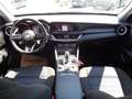 Alfa Romeo Stelvio Business 2,2 ATX AWD - XENON - NAVI - AHK ABNEH... Grün - thumbnail 16